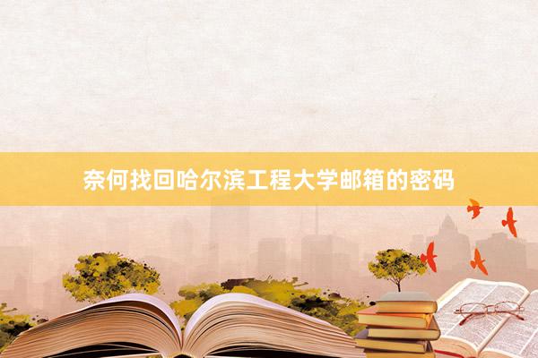 奈何找回哈尔滨工程大学邮箱的密码